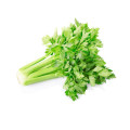 New Crop Chinese Wholesale Top Grade Healthy And Natural Celery